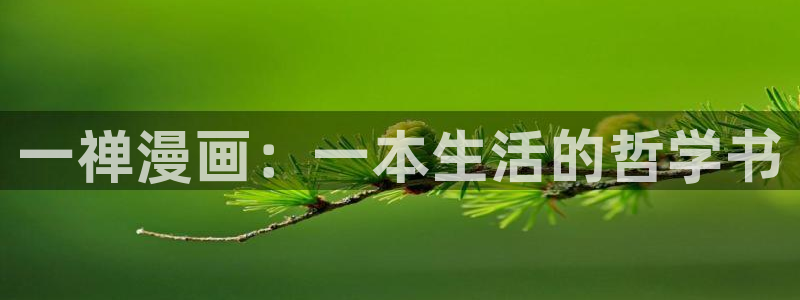 漫蛙漫画免费漫画阅读app下载：一禅漫画：一本生活的哲学书