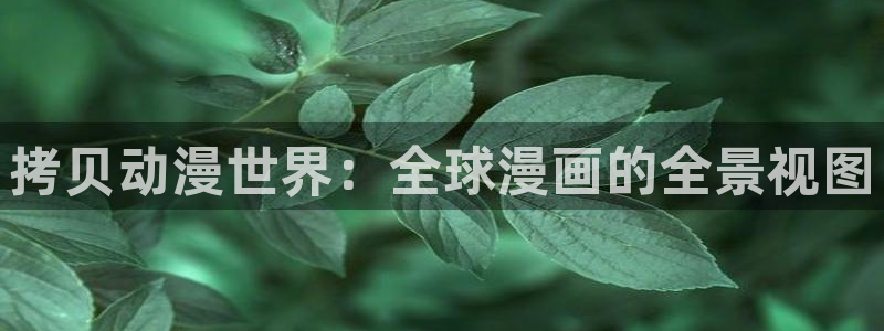 漫蛙@2：拷贝动漫世界：全球漫画的全景视图