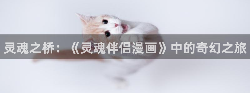漫蛙2安卓：灵魂之桥：《灵魂伴侣漫画》中的奇幻之旅