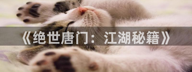 漫蛙漫画-漫蛙manwa：《绝世唐门：江湖秘籍》