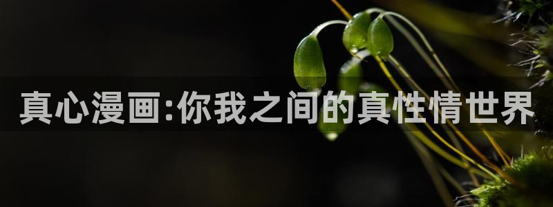 玫瑰庄园漫画免费下拉式漫蛙：真心漫画:你我之间的真性情世界